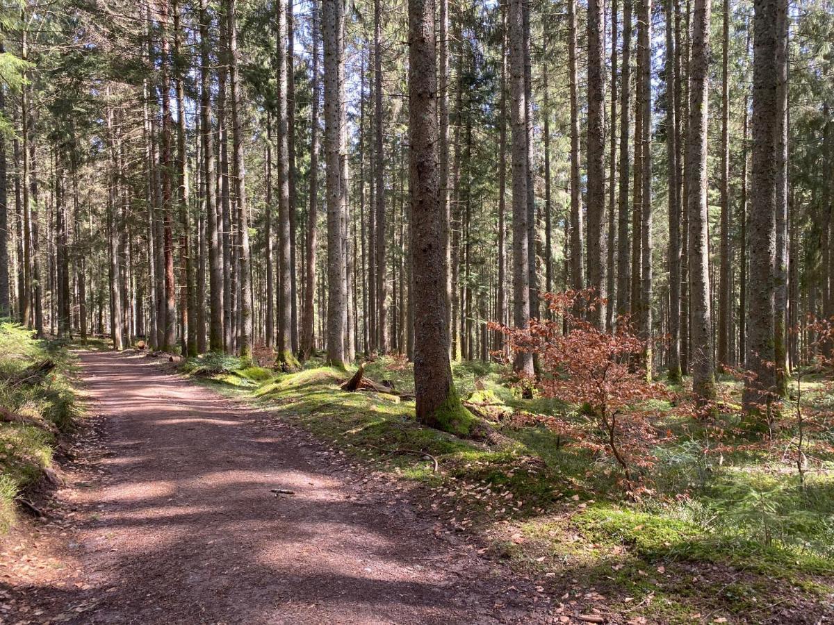 Ferienwohnung Lang - Schoene 3-Zimmer-Wohnung Bonndorf im Schwarzwald Esterno foto